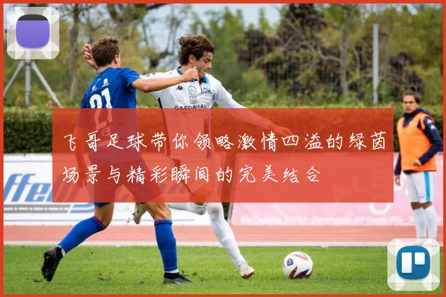 飞哥足球带你领略激情四溢的绿茵场景与精彩瞬间的完美结合