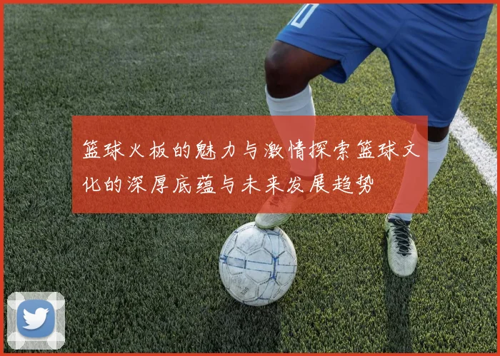 篮球火板的魅力与激情探索篮球文化的深厚底蕴与未来发展趋势