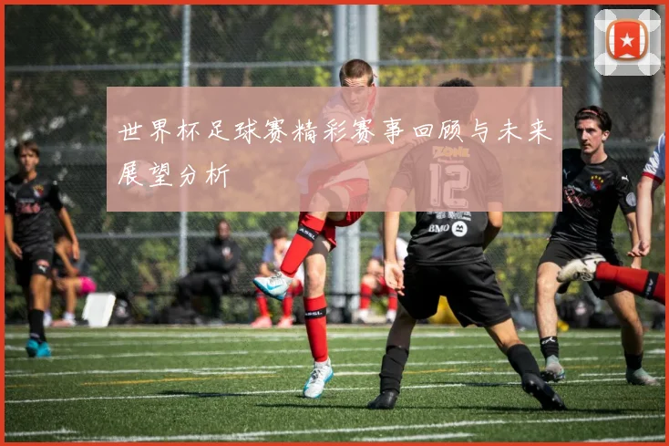 世界杯足球赛精彩赛事回顾与未来展望分析