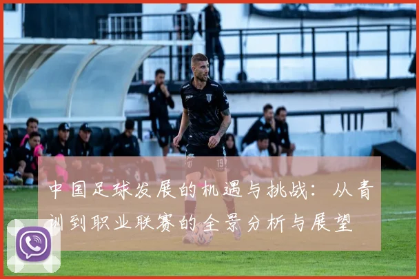 中国足球发展的机遇与挑战：从青训到职业联赛的全景分析与展望