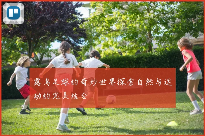 露鸟足球的奇妙世界探索自然与运动的完美结合
