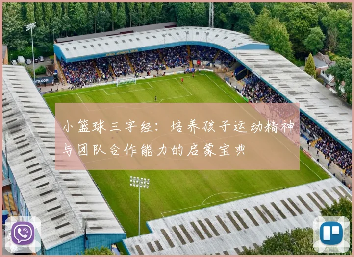 小篮球三字经：培养孩子运动精神与团队合作能力的启蒙宝典